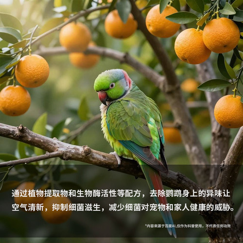 鹦鹉啄羽掉毛鸟用除菌体外驱喷雾植物喷剂鸟笼杀菌消毒液消毒剂 - 图0
