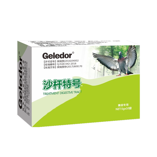 格莱德沙杆特号信种鸽子拉稀腹泻水绿便沙门氏菌非鸽药大全常见病 - 图3