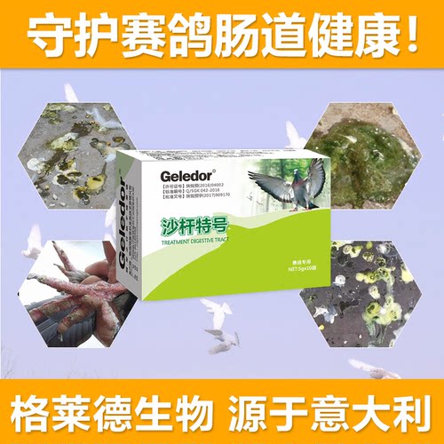 格莱德沙杆特号信种鸽子拉稀腹泻水绿便沙门氏菌非鸽药大全常见病 - 图0