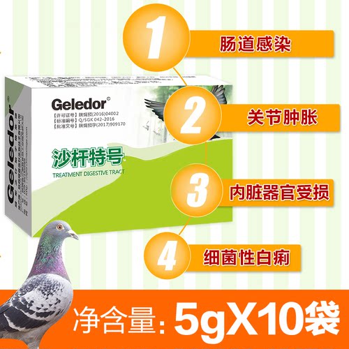 格莱德沙杆特号信种鸽子拉稀腹泻水绿便沙门氏菌非鸽药大全常见病 - 图1