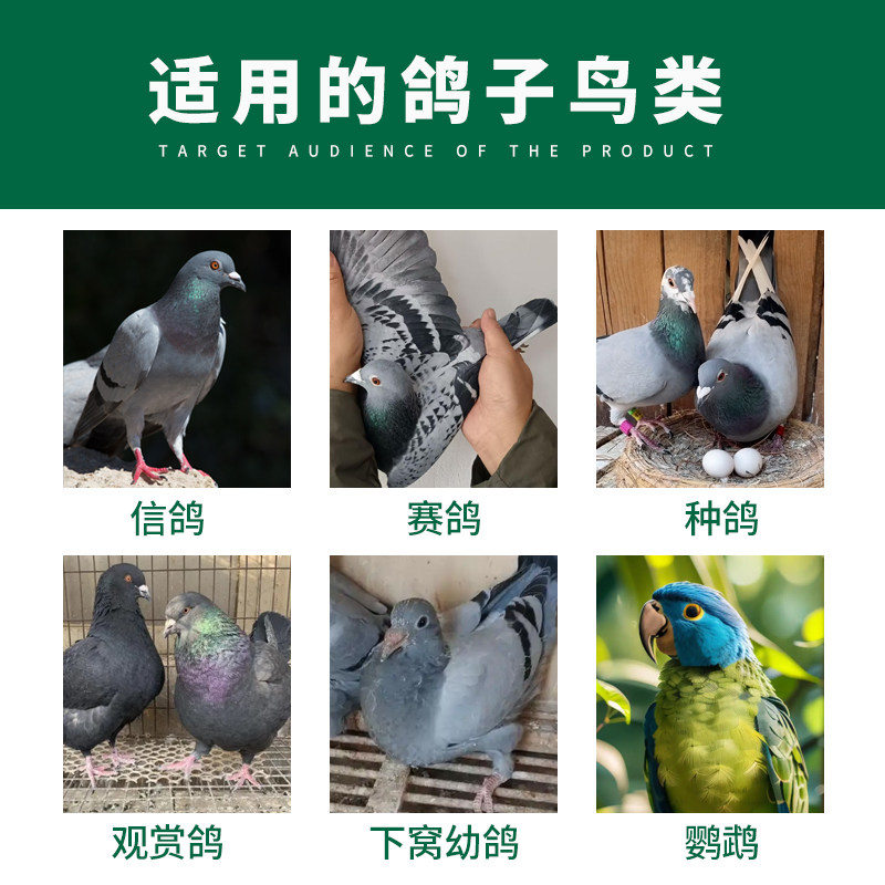 格莱德信种鸽子鸽用啤酒酵母粉补充蛋白质调理肠道活菌营养保健品,淘宝优惠券,粉丝福利购,淘宝优惠卷