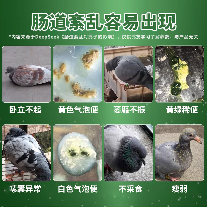 格莱德六合一活菌王信赛鸽肠道调理营养保健品鸽用益生菌非鸽子药,淘宝优惠券,粉丝福利购,淘宝优惠卷