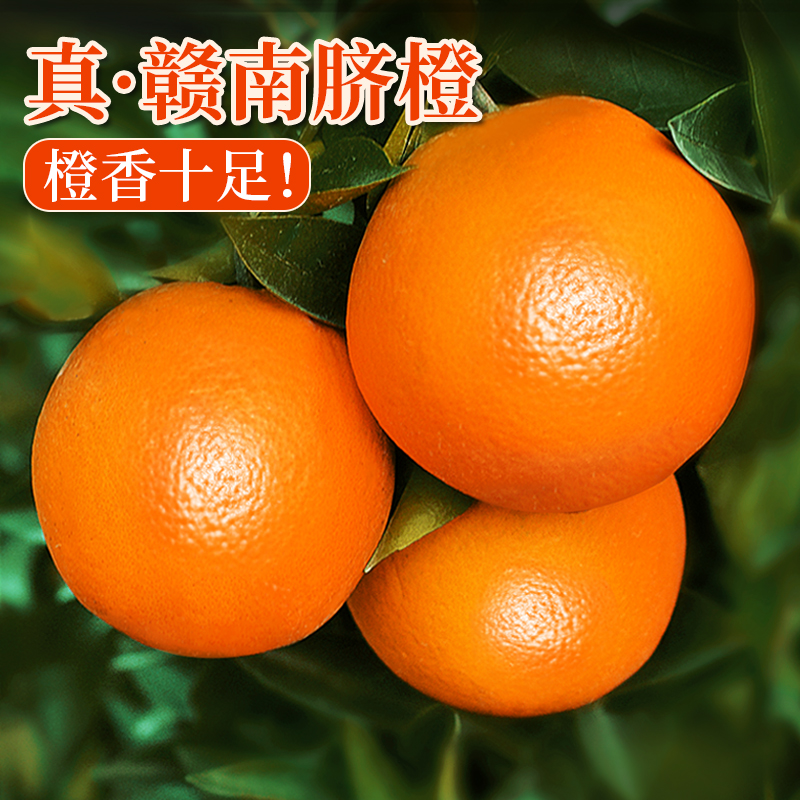 江西赣南脐橙橙子新鲜水果当季整箱正宗赣州甜8斤大果精品礼盒装