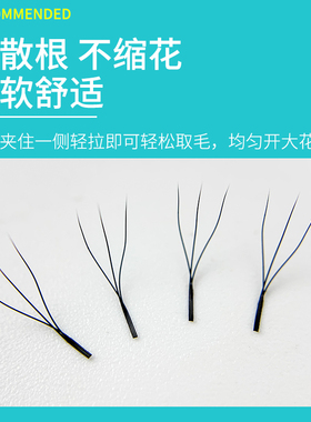 三叶草3d一秒嫁接睫毛开花yy自动