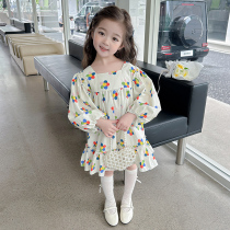 Spring Autumn Season Girl Dress Girl Dress 2023 New Ocean Air Casual Wind Princess Dress Baby Fall Long Sleeve Flower Skirt