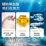 Синь Кванканг глубоко морской рыбь