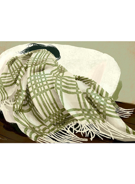 绿色格纹抽象睡觉人物横版装饰挂画替换内芯海报未装裱中古法式