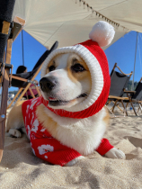 Pet Hair Line Christmas Red Hat Scarf pooch Winter Warm Kirchai Dogs to Blame Net Red Photo Red Headgear