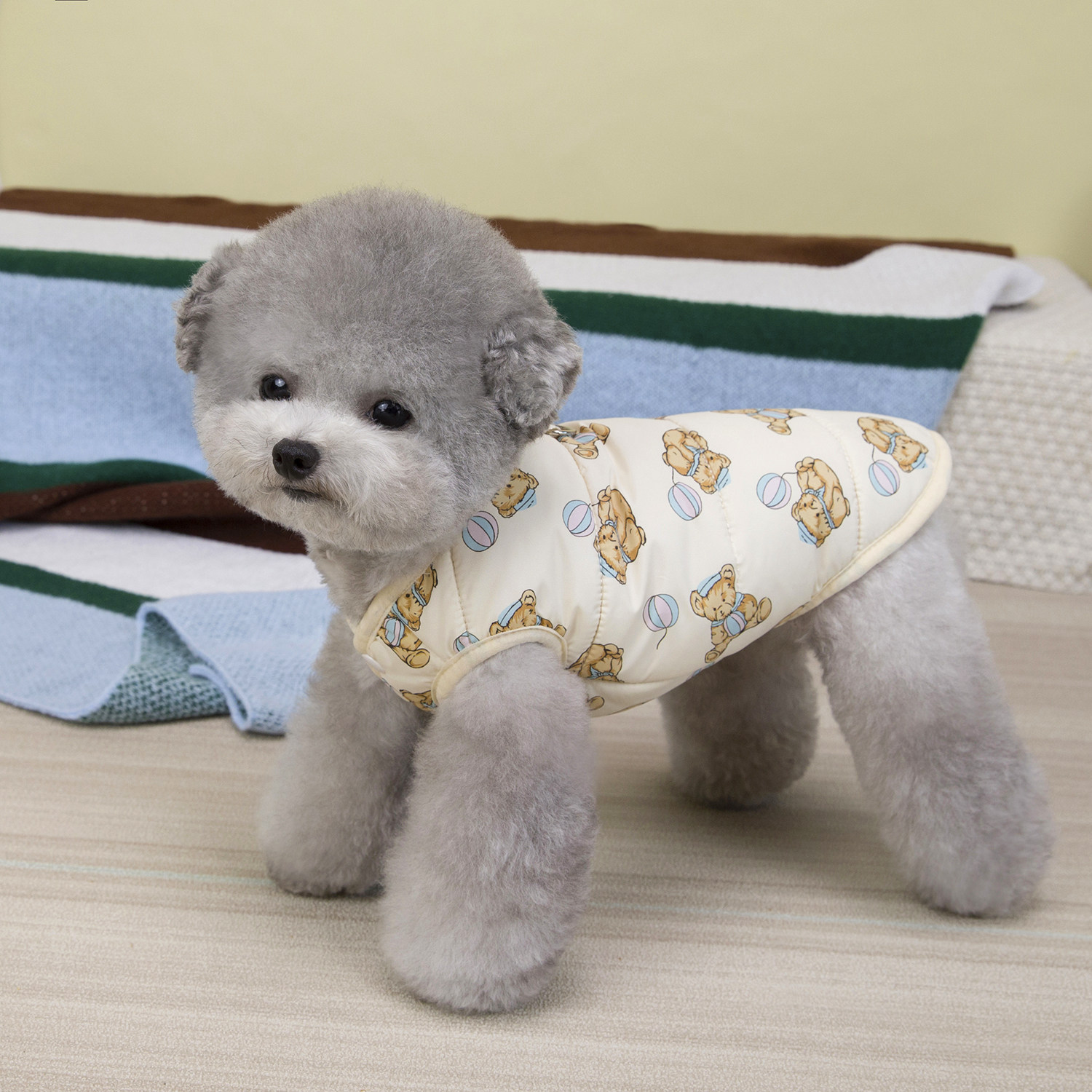 宠物服装秋冬小型犬猫咪泰迪比熊狗狗衣服加绒保暖可爱棉背心马甲,淘宝优惠券,粉丝福利购,淘宝优惠卷