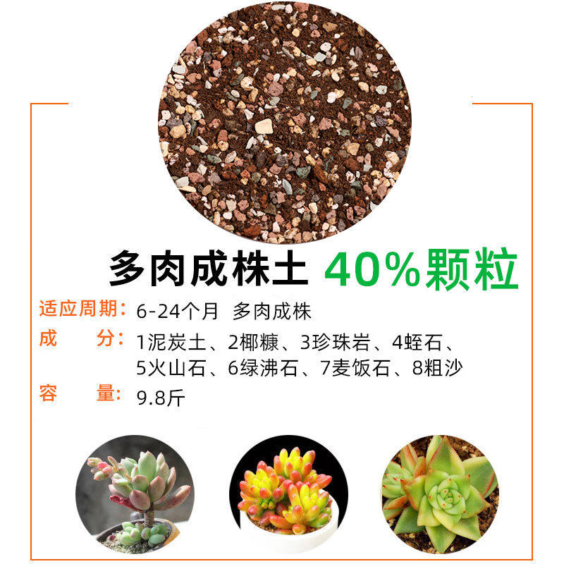 多肉土专用颗粒植物进口营养土泥炭叶插种植肉肉纯颗粒花土铺面石,淘宝优惠券,粉丝福利购,淘宝优惠卷