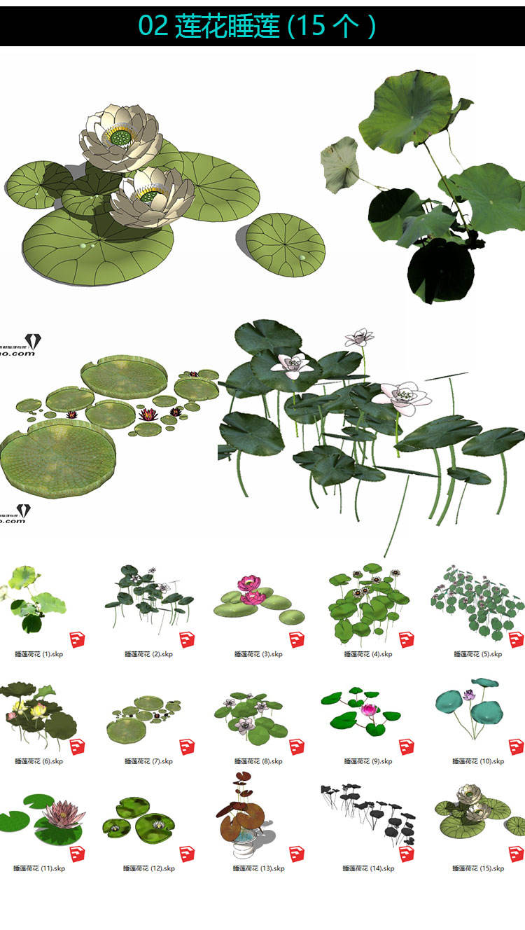 草图大师模型素材库景观植物乔木灌木地被花草树木组件su模型素材 - 图0