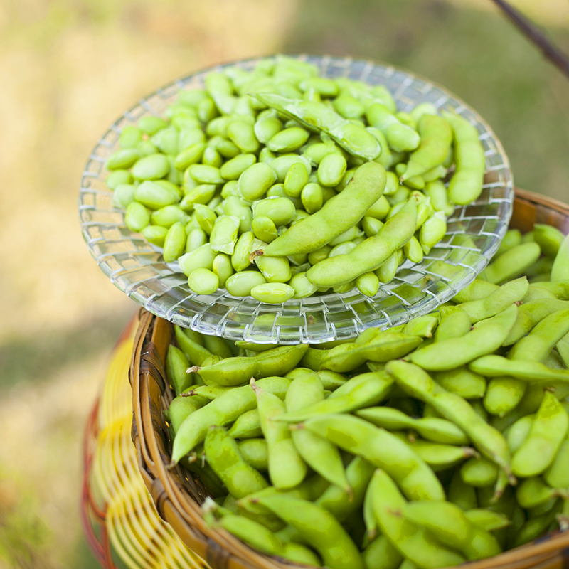 包邮现摘新鲜毛豆嫩毛豆新鲜生毛豆青豆5 斤带壳农家自种毛豆 - 图0