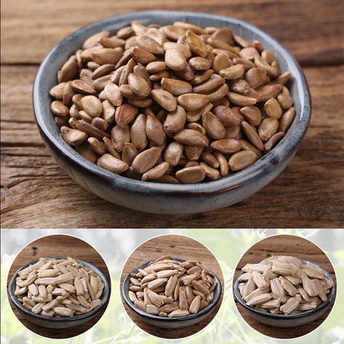 大葫芦籽种特大号葫芦种子大全绕指柔天津嘴文玩手捻亚腰小葫芦籽 - 图2