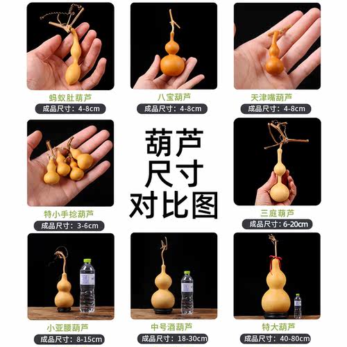 大葫芦籽种特大号葫芦种子大全绕指柔天津嘴文玩手捻亚腰小葫芦籽 - 图0