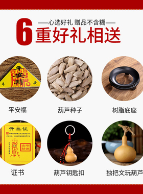 天然葫芦挂件鎮宅客厅家居饰品八卦开口五帝钱带龙头大号葫芦摆件