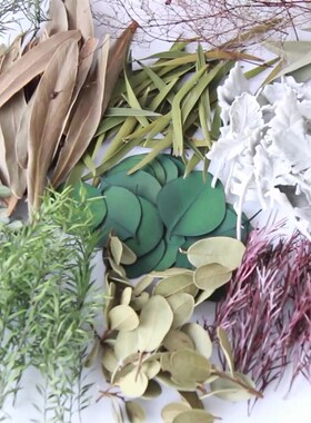 【叶材干花】天然植物标本相框浮游瓶diy 干花肌理画干花材料包