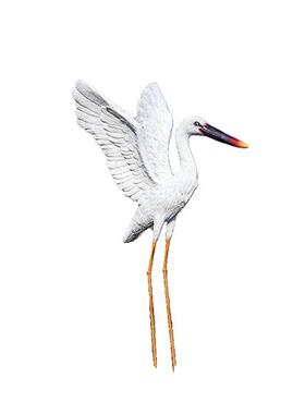 户外玻璃钢仿真白鹭雕塑园林景观白鹤仙鹤别墅庭院水池鸟摆件装饰