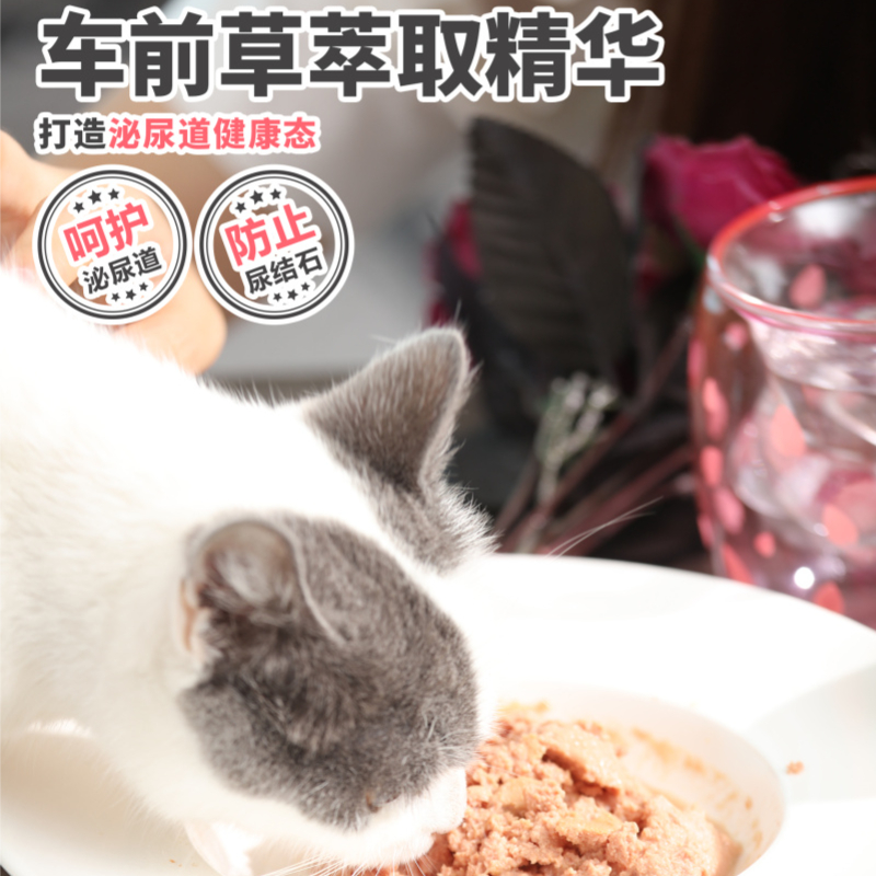 渔晓吃全价生骨肉主食罐6&24罐幼猫成猫生骨肉鸡肉猫咪主食猫罐头