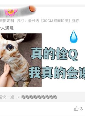 无描边宠物抱枕无白边丑猫玩偶定制无边玩偶异形猫猫巨丑猫咪抠图