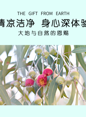 【夫妇专属】巴莉哲Barij尤加利精油 净化空气 畅快呼吸15ml