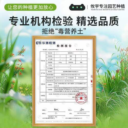 枇杷树专用土枇杷树专用营养土盆栽土养花种花土通用种植土壤肥料 - 图2