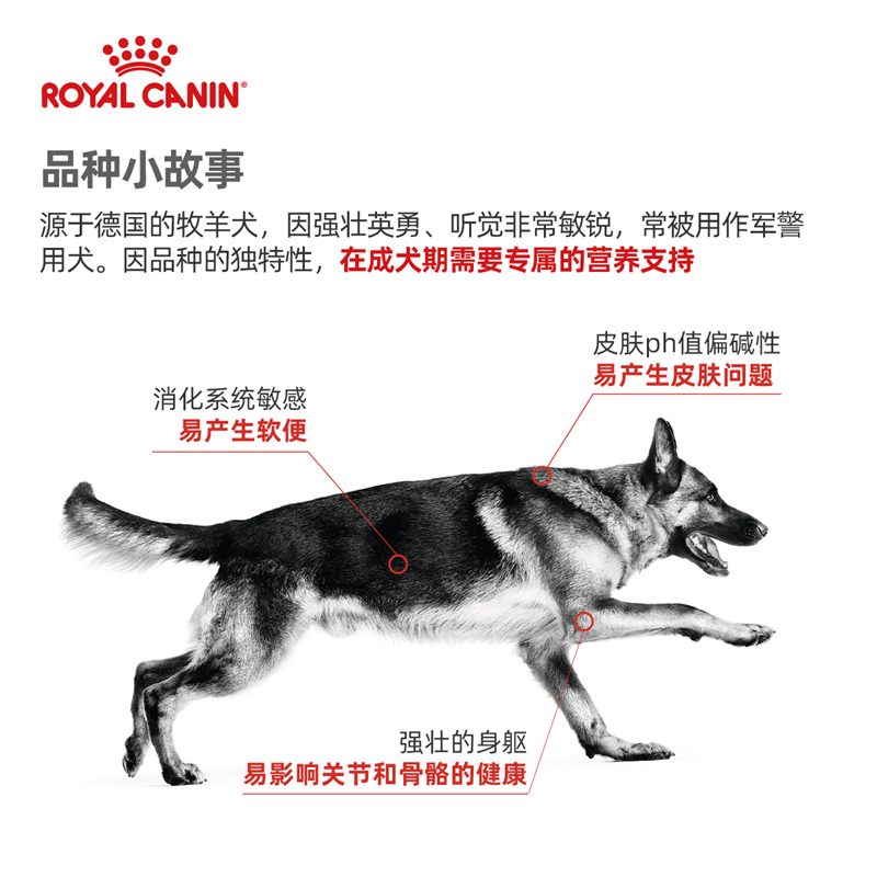 皇家狗粮德牧成犬粮GS24/12KG大型德国牧羊犬专用狗粮 - 图0