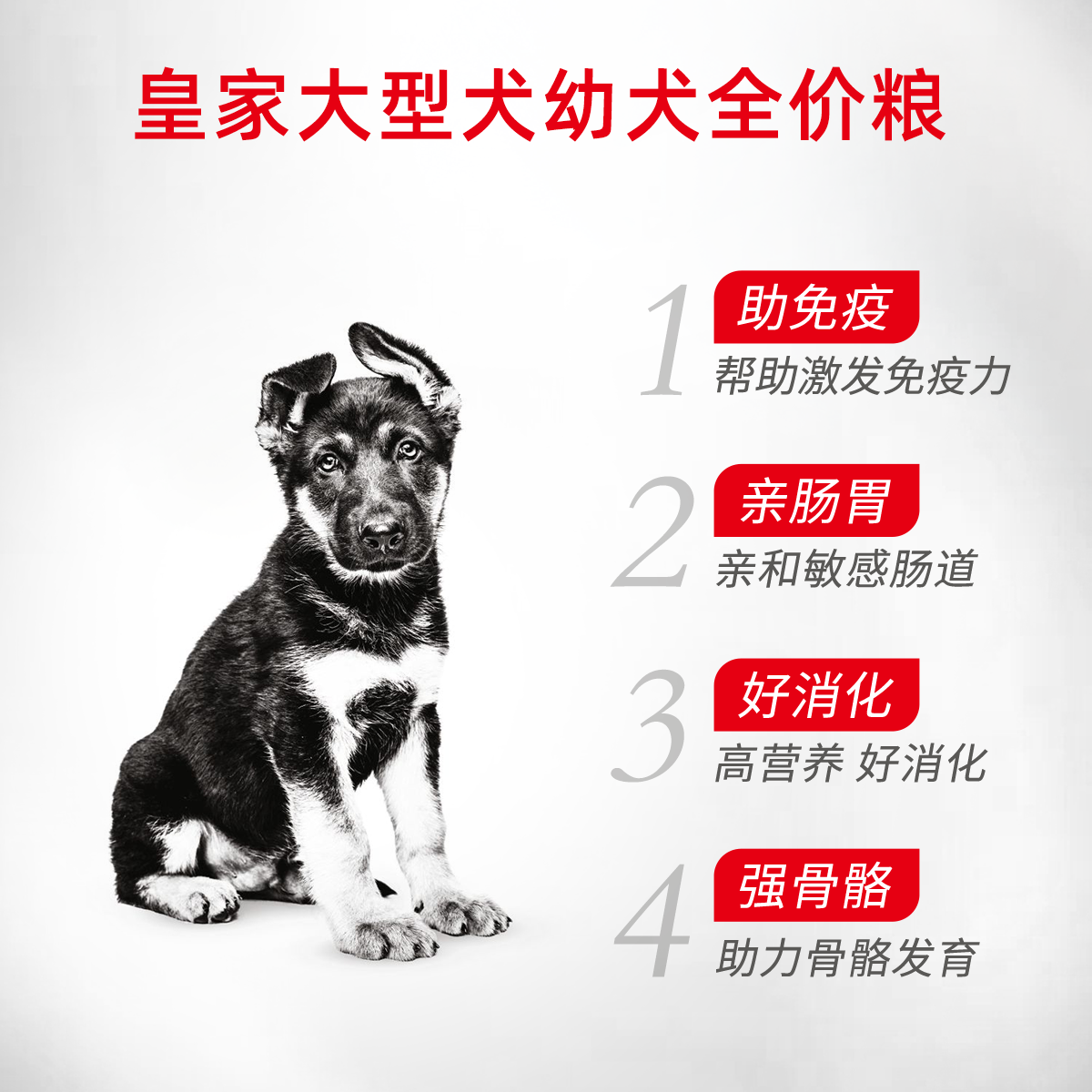 皇家狗粮大型犬幼犬粮MAJ30/15KG金毛拉布拉多通用全价囤粮特惠