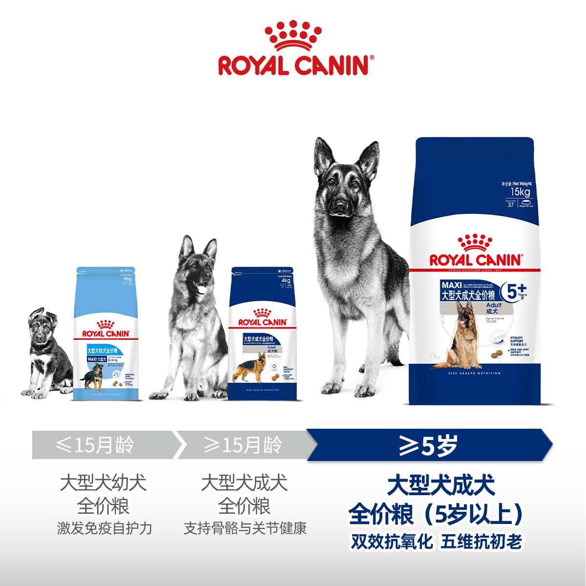 皇家狗粮大型犬中老年犬全价犬粮SGR26/15KG拉布拉多德牧金毛通用
