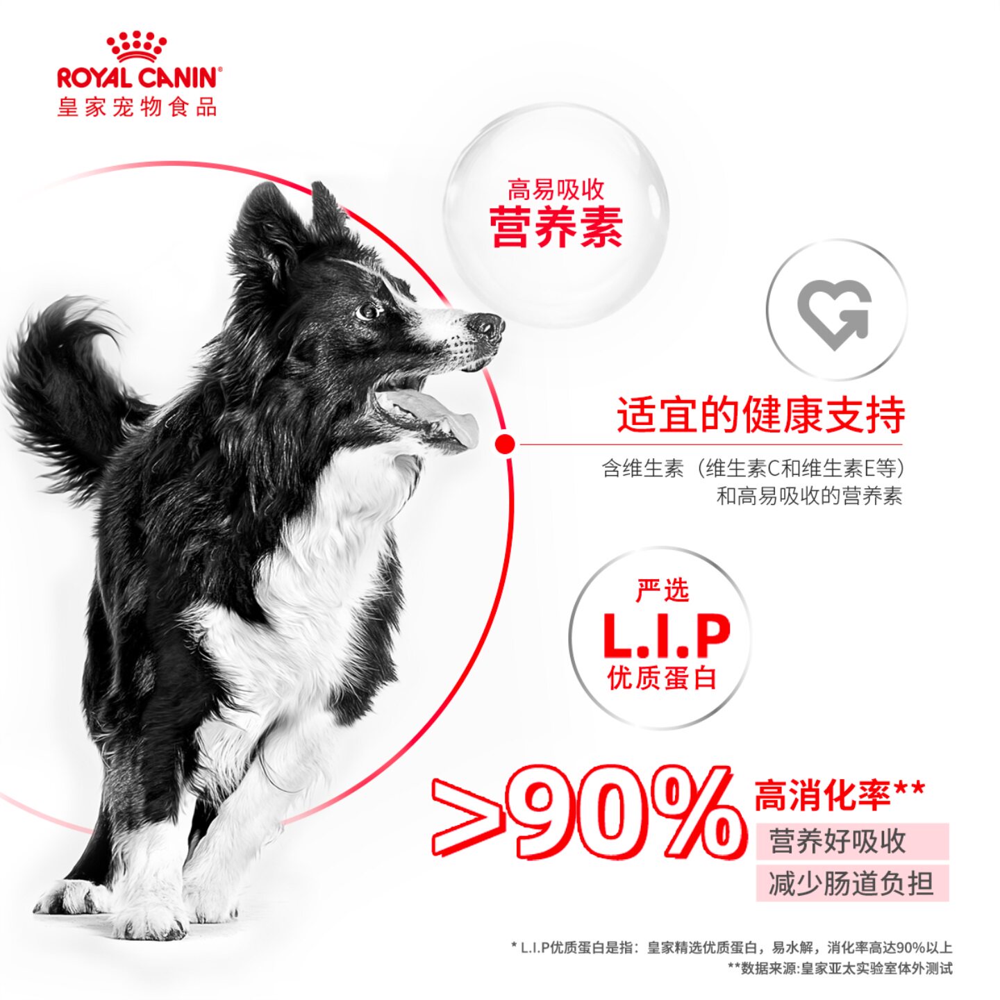 皇家狗粮中型成犬粮M25/4/15KG金毛罗威纳萨摩耶边牧柯基通用犬粮