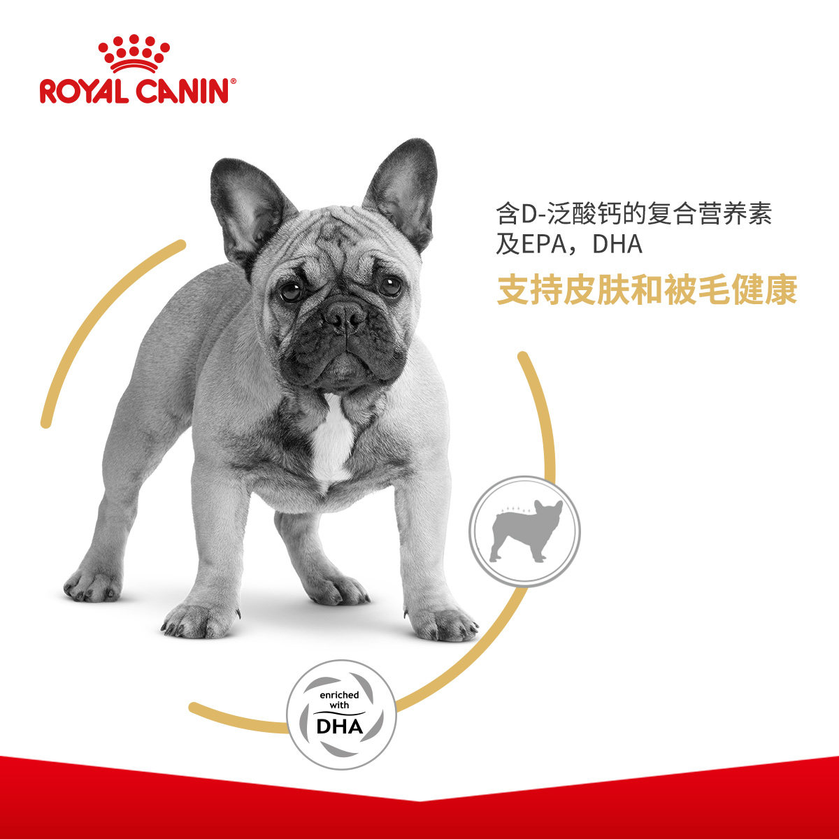 皇家法斗狗粮法国斗牛犬专用成犬粮fba26 3kg 2