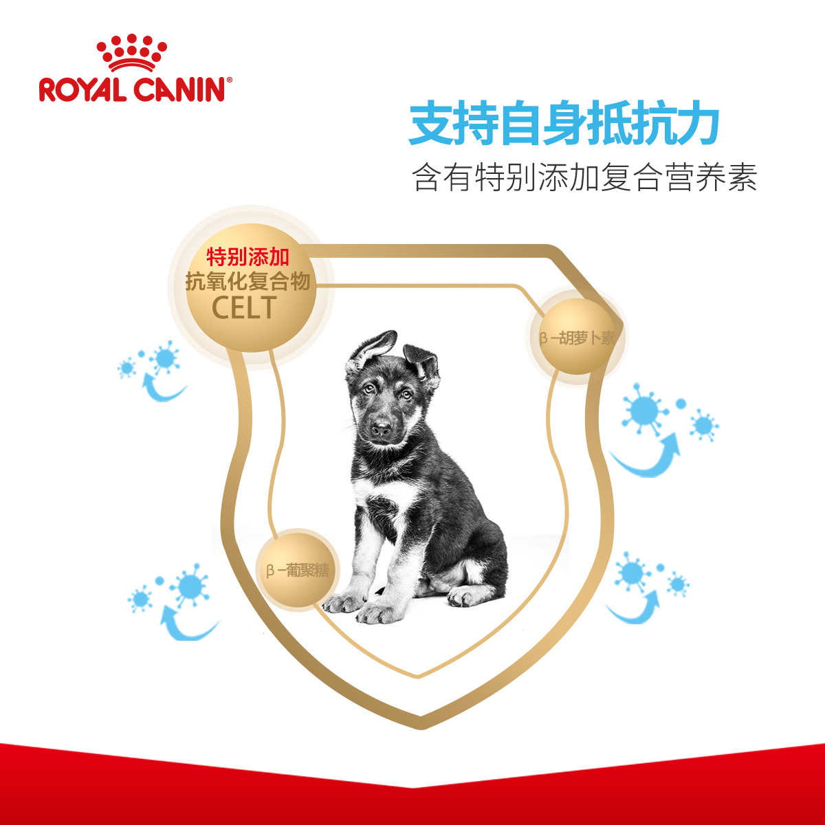 皇家狗粮大型犬幼犬粮MAJ30/15KG金毛拉布拉多通用全价囤粮特惠-图2