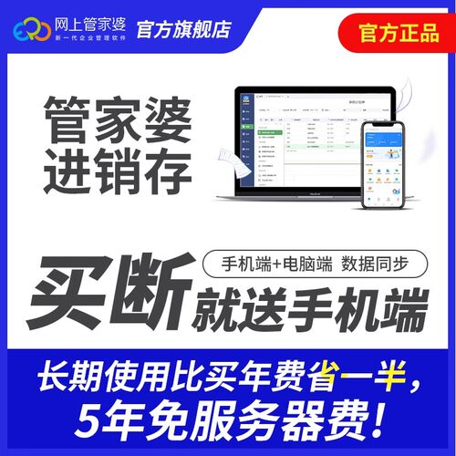 管家婆 买断进销存管理软件ERP系统生产销售财务仓库库存批发订货 - 图0