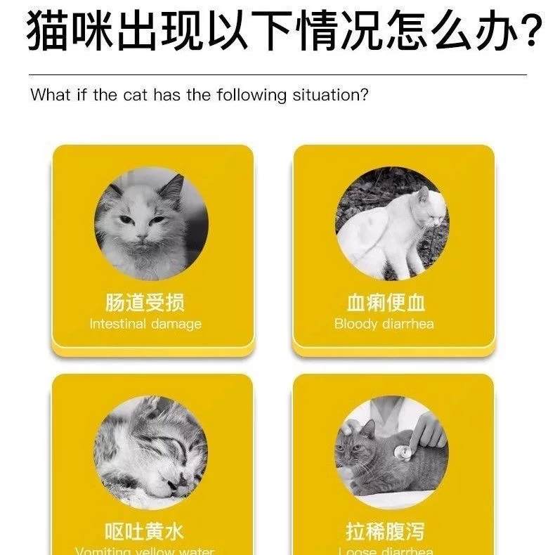 [英国synbiotic 施百科狄犬猫益生菌普乐高宁营养膏狗拉稀止泻便软]