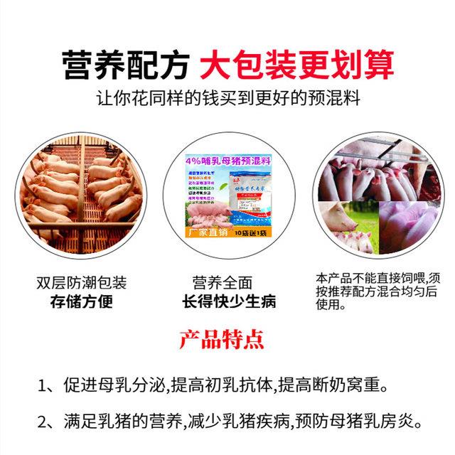 猪产后4%哺乳母猪复合预混料猪饲料母猪喂奶增加奶水猪用添加剂-图1