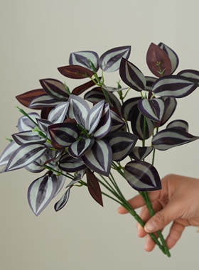 仿真仙芋彩芋叶植物墙配饰盆栽