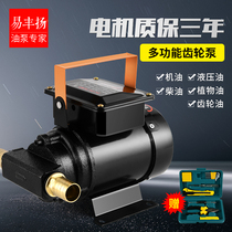 Easy Fengyan electric gear pump 12V24V220V repair plant oil hydraulic oil oil pumping pump oil pumping oil pumping machine oil pumping machine