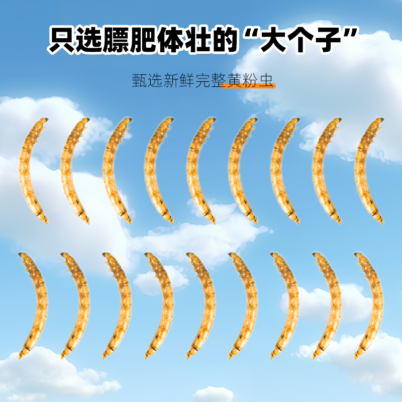商品详情图片