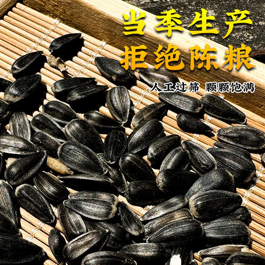 Deeply pamper the seasonal oil sunflower with plump grains