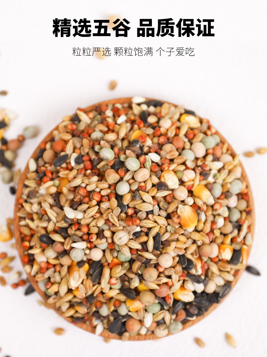 鸽子食粮饲料鸽粮信鸽赛鸽种鸽专用营养粮食用品带玉米小颗粒豌豆 - 图3