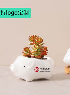 陶瓷花盆创意迷你多肉摆件小清新植物个性桌面盆简约可爱动物花盆