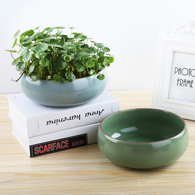 铜钱草水培花盆金钱草专用陶瓷大号清仓简约水仙花水养一叶莲碗莲,淘宝优惠券,粉丝福利购,淘宝优惠卷