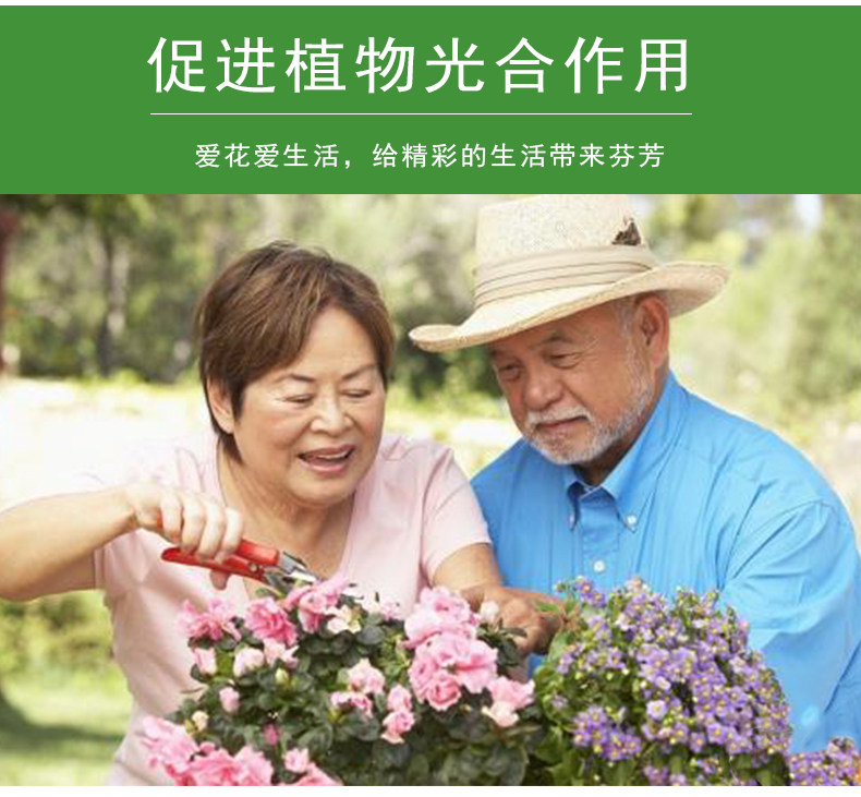 水仙花植物通用型营养液土水培花卉绿萝发财树液体肥盆栽肥料花肥,淘宝优惠券,粉丝福利购,淘宝优惠卷