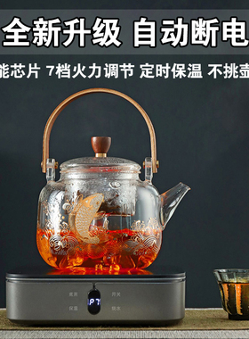 多功能保温自动断电煮茶炉