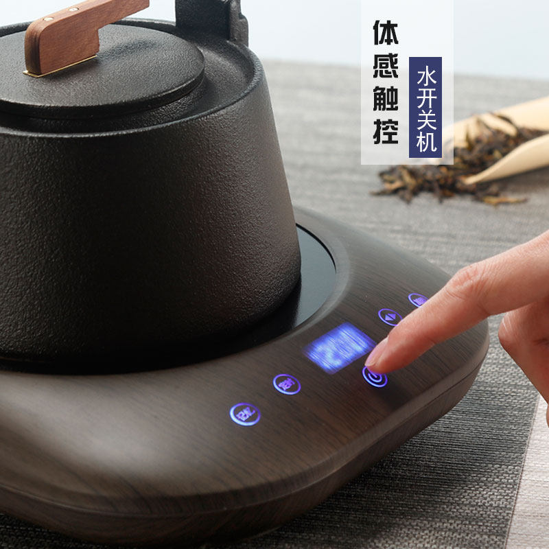 电陶炉迷你泡茶壶家用不挑煮茶器 leemusur电磁炉/陶炉