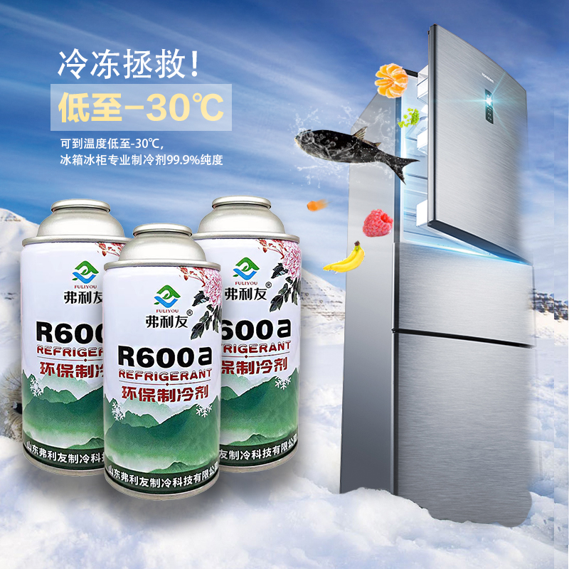 冰箱冰柜R600A冷媒雪种纯利昂加氟工具套装冰种冷冻液定频变频 - 图2