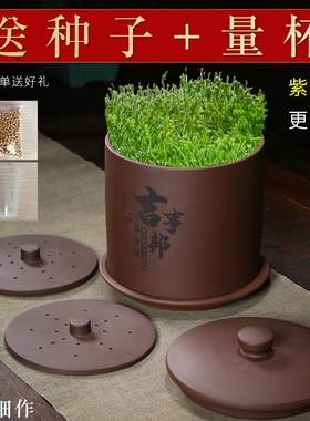 紫砂豆芽罐紫砂豆芽罐
