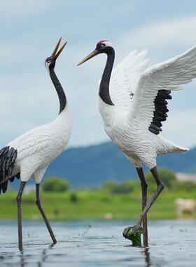 户外彷真仙鹤雕塑丹顶鹤模型园林造景景观水池鱼池庭院鹤摆件装饰