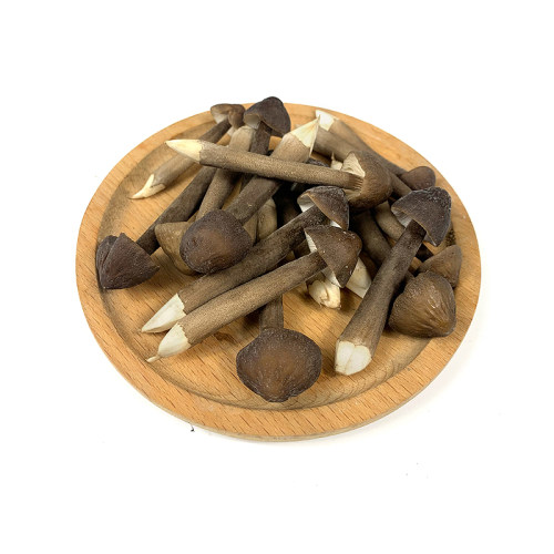 新鲜黑皮鸡枞菌500g 菌菇长根蘑菇荔枝菌鸡棕菇 煲汤食材 - 图2