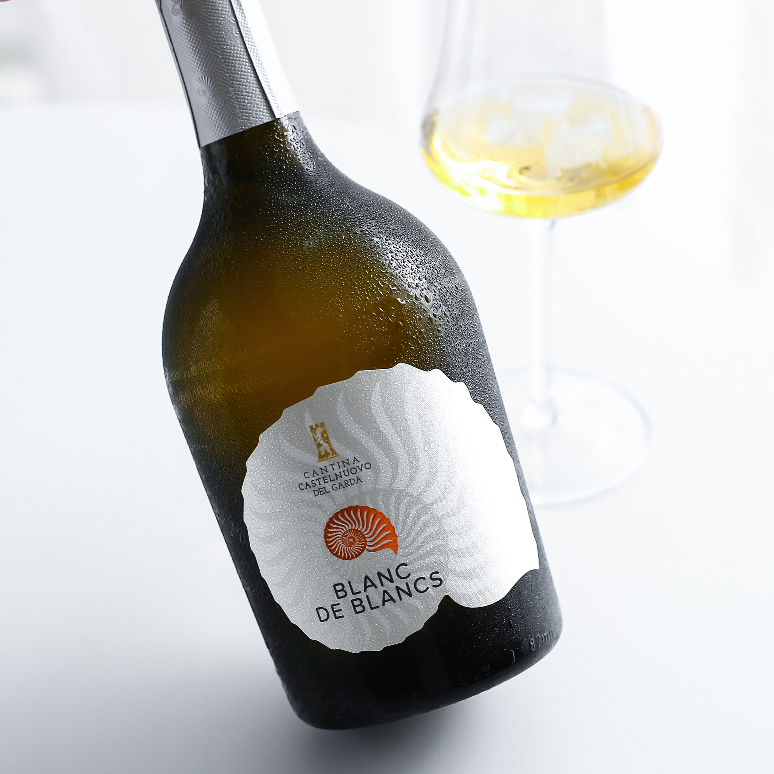 苹果香梨橘子香~意大利进口贝壳白中白起泡酒气泡香干白葡萄酒槟,淘宝优惠券,粉丝福利购,淘宝优惠卷