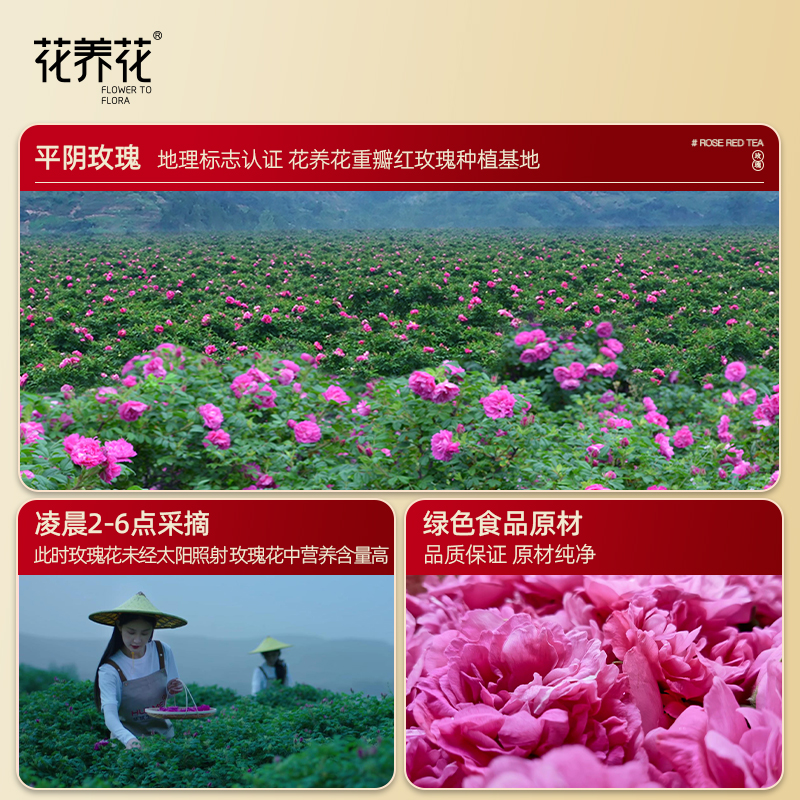 花养花祁门红茶茶叶平阴玫瑰花茶正宗工夫茶祁门香浓香玫瑰红茶